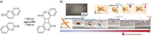 Thiol-X Chemistry: A Skeleton Key Unlocking Advanced Polymers in Additive Manufacturing