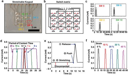 Printable Elastic Porous Conductor for Stretchable Keypads
