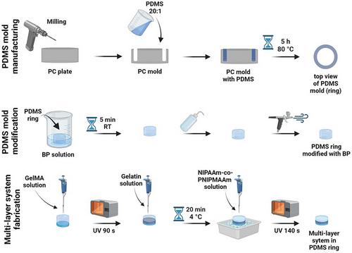 Light-Driven Structural Detachment and Controlled Release in Smart Antibacterial Multilayer Platforms