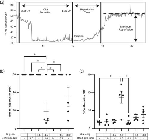 Micrometer-scale tPA beads amplify plasmin generation for enhanced thrombolytic therapy