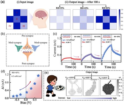 An Optoelectronic Memristor Based on Proton-Involved Photoreduction for Bimodal Sensing, Memory, and Processing