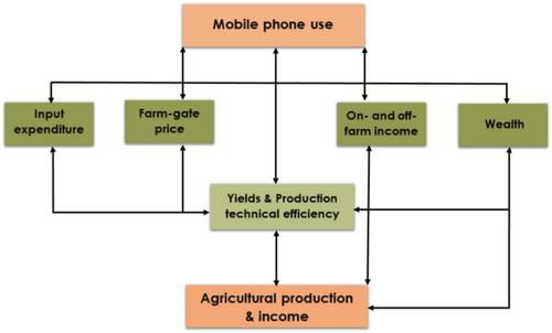 Mobile Technology and Gender: A Pathway to Increased Yield and Farm Profit for Smallholder Farmers in Bangladesh