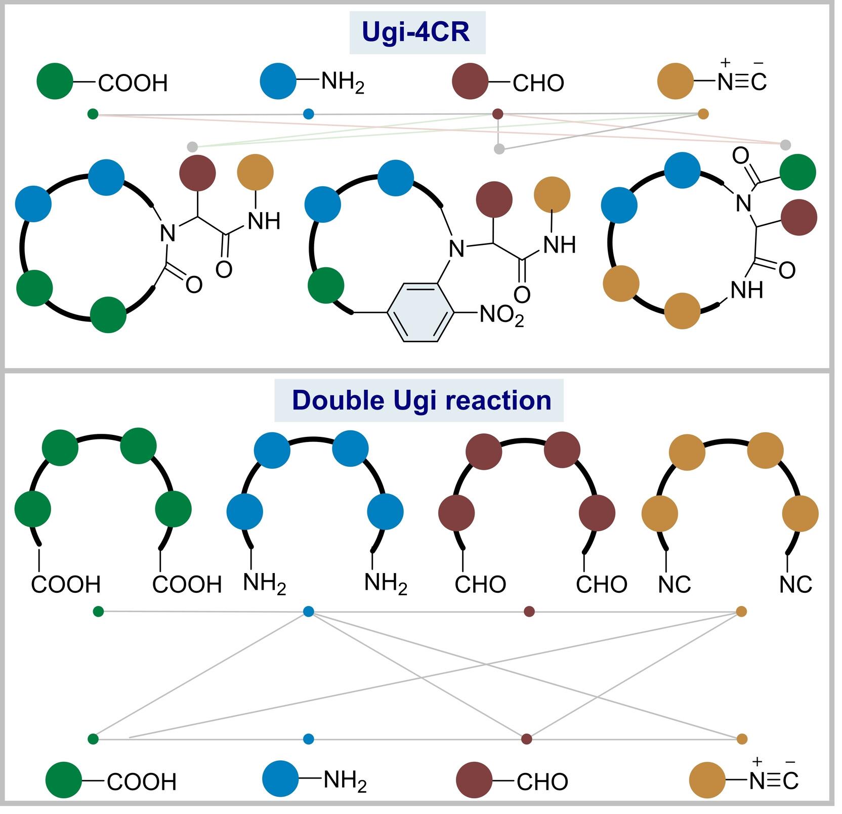 The Ugi Multicomponent Reaction for the One-Step Construction of Macrocycles