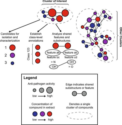 Analysis of plant metabolomics data using identification-free approaches