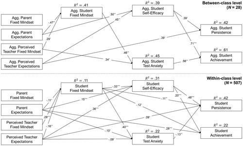 Social antecedents of children's mindsets, motivation and achievement in math: Investigating parental beliefs and perceived teacher beliefs