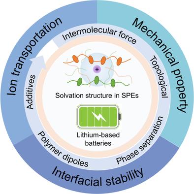 Solvation Structures in Solid Polymer Electrolytes for Lithium-Based Batteries