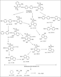 Exceptional Visible-Light-Driven Photodegradation Performance Over N-Rich g-C3N5 Decorated Flower-like SrMoO4 Nanohybrids: Analysis of Mechanism, Efficacy and Degradation Pathway