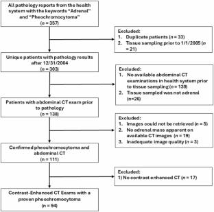 Using interpretable rule-learning artificial intelligence to optimally differentiate adrenal pheochromocytomas from adenomas with CT radiomics