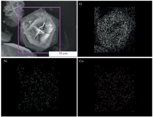 Growth of Bimetallic Oxide Nanoarray on Nickel Foam as an Efficient Binder-Free Electrode for Nitrite Electrochemical Sensing