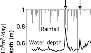 Effects of snowmelt runoff on bacterial communities and antimicrobial resistance gene concentrations in an urban river in a cold climate region