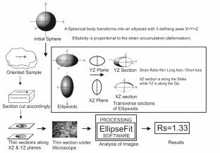 Quantitative Analysis of Finite Strain Accumulation and its Variation Across the Fold System in Southern Kaladgi Basin Around Bagalkot, India