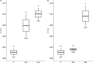 Miscanthus phytotechnology of Cu- or Zn-spiked soils supported by contaminated Miscanthus biochar—is this a viable option for valorization?