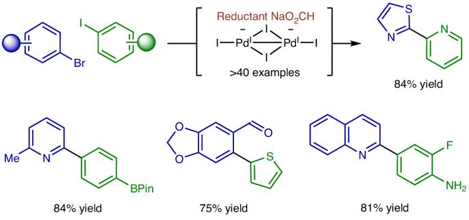 Aryl halide cross-coupling via formate-mediated transfer hydrogenation