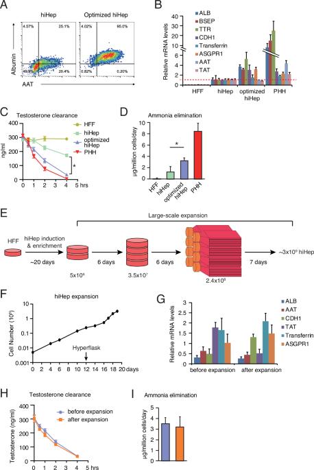 Author Correction: Improved survival of porcine acute liver failure by a bioartificial liver device implanted with induced human functional hepatocytes