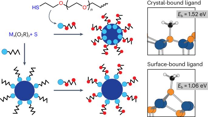 Nanocrystal synthesis with alkoxy reagents for dispersion in polar and non-polar solvents