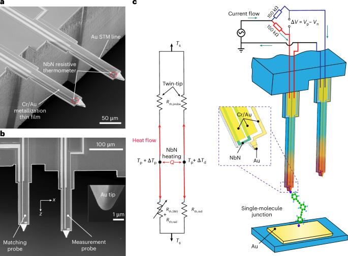Phonon interference in single-molecule junctions