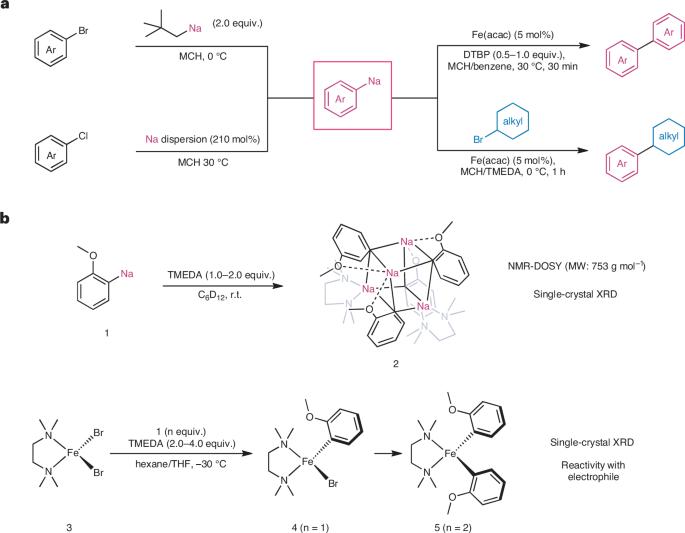 Coupling reactions using iron–sodium pairs