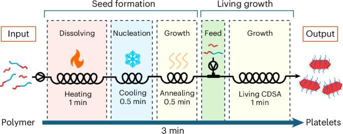 Direct preparation of two-dimensional platelets from polymers enabled by accelerated seed formation