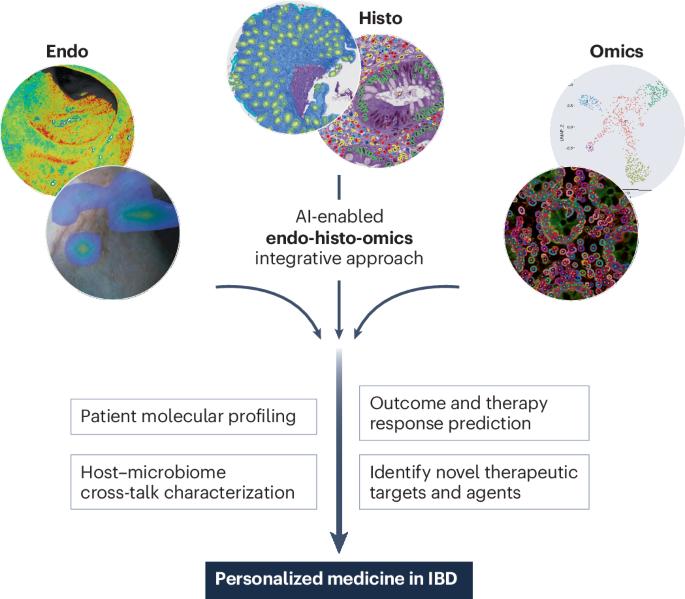 AI-enabled ‘endo-histo-omics’: breaking down intestinal barriers in IBD