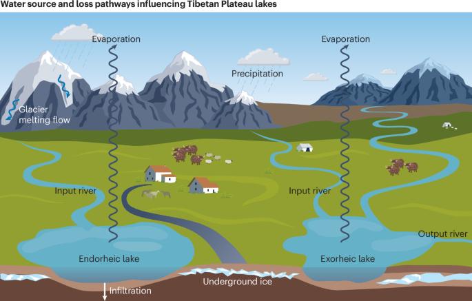 Physical and biogeochemical responses of Tibetan Plateau lakes to climate change