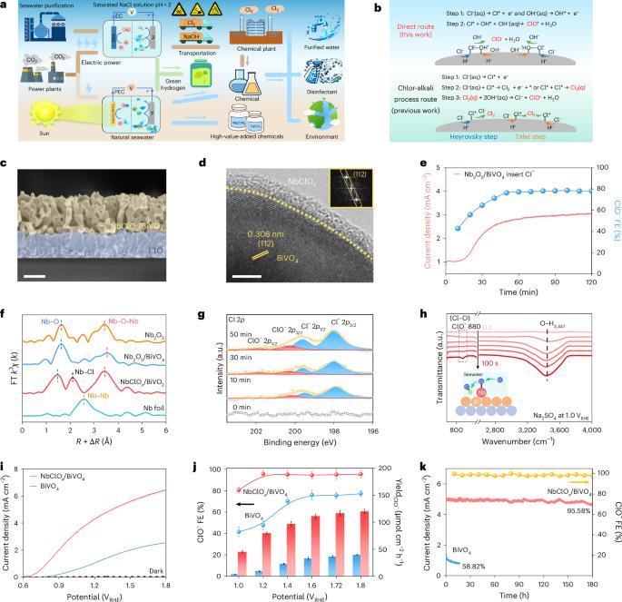 Photoelectrochemical production of disinfectants from seawater