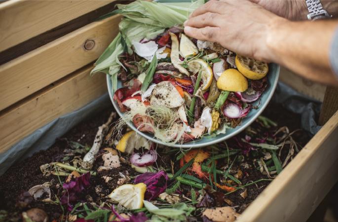 Turning food waste into climate solutions