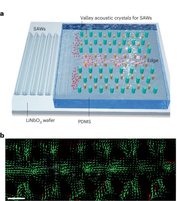 Topological acoustics unlocks new horizons in microfluidics