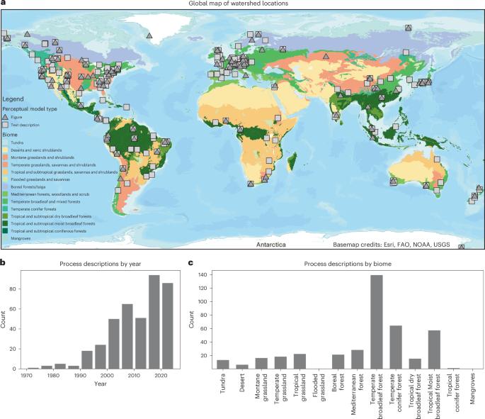 Global patterns in observed hydrologic processes