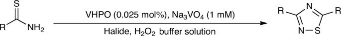 Intermolecular 1,2,4-thiadiazole synthesis