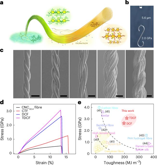 High-strength cellulose fibres enabled by molecular packing