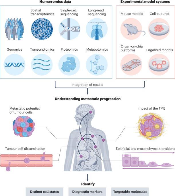 Integrating model systems and genomic insights to decipher mechanisms of cancer metastasis