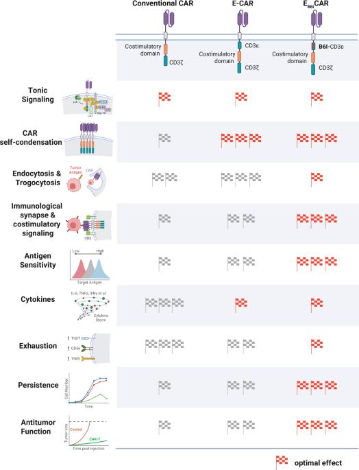 “Electric power boost” for CAR-T-cell potency