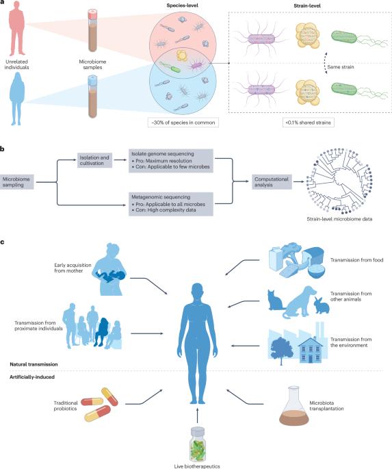 Human microbiome acquisition and transmission