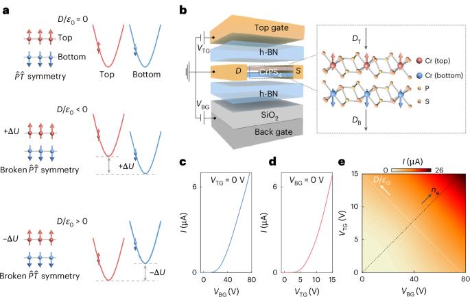 Switching on and off the spin polarization of the conduction band in antiferromagnetic bilayer transistors