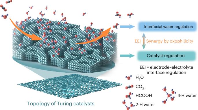 Industrial-level CO2 to formate conversion on Turing-structured electrocatalysts