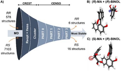 Molecular Recognition and Chiral Discrimination from NMR and Multi-Scale Simulations