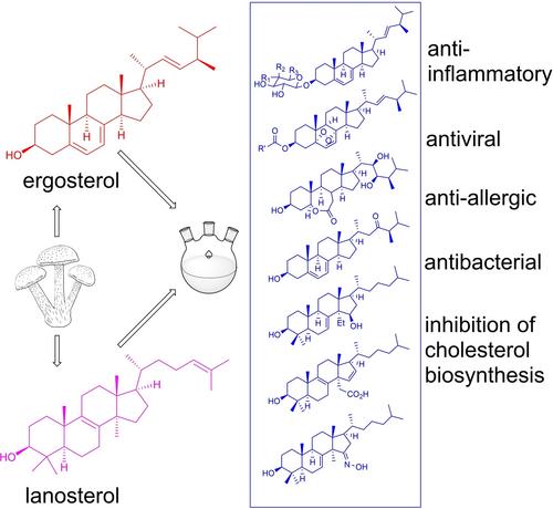 Ergosterol and Lanosterol Derivatives: Synthesis and Possible Biomedical Applications