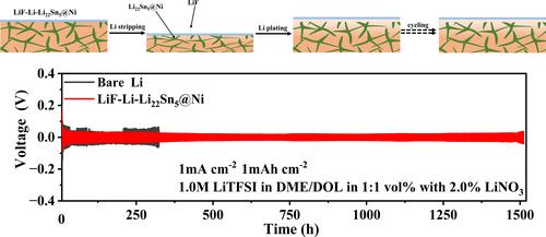 Unique Li Composite Anode with LiF on the Surface and Li-Sn Alloy Inside for Next Generation Li Metal Batteries