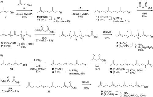 Enzyme-Catalysed Formation of Hydrocarbon Scaffolds from Geranylgeranyl Diphosphate Analogs with Shifted Double Bonds