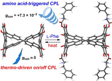 A Binaphthyl Macrocycle Exhibiting Circularly Polarized Luminescence: On–off Switch Triggered by Molecular Recognition