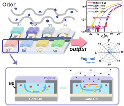Electronic Nose Based on a Multi-Thin Film Transistor Sensor Array Structure for Detecting Odorants with High Selectivity