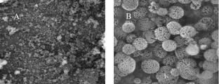 Enhanced stability and activity of diaphorase enzyme immobilized on magnetic mesoporous silica