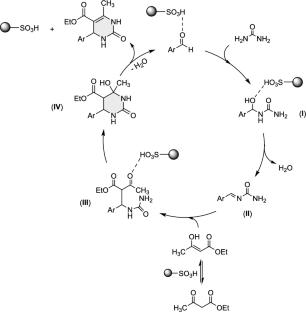 Sulfonated Melamine–Formaldehyde Resin as a Robust Catalyst for Biginelli Reactions: Synthesis of 3, 4-Dihydropyrimidinones