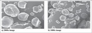 Phytochemical Characterization of Pueraria tuberosa Root Extracts Using Microwave and Ultrasound-Assisted Extraction by LC-QTOF-MS