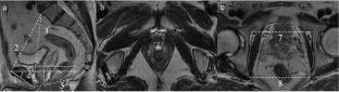 Abstract Image