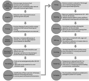 AI technologies shaping the future of the cocoa industry from farm to fork: a comprehensive review
