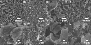 Electrochemical performance of reduced graphyne oxide and biomass-derived activated carbon composite for energy storage devices