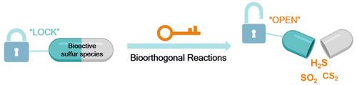 Bioorthogonal Reactions for Bioactive Sulfur Species Delivery