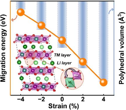 First-Principles Insights into the Role of Coordination Polyhedron Size on Mn Ion Migration within Li2-xMnO3 Layered Cathode Material