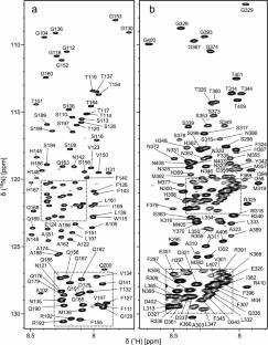 Backbone resonance assignments of the CPEB3 [101–200] and CPEB3 [294–410]